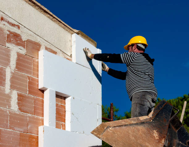 Best Residential Insulation in Decatur, TX
